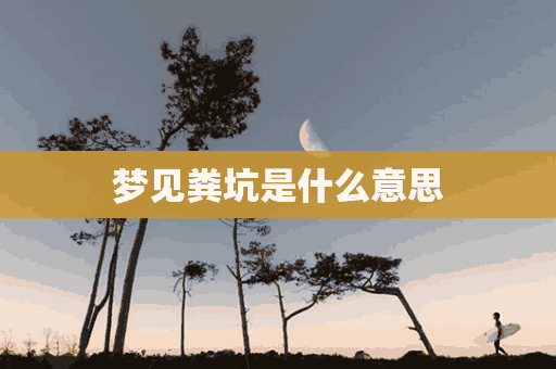 梦见粪坑是什么意思(做梦梦见粪坑是什么意思)